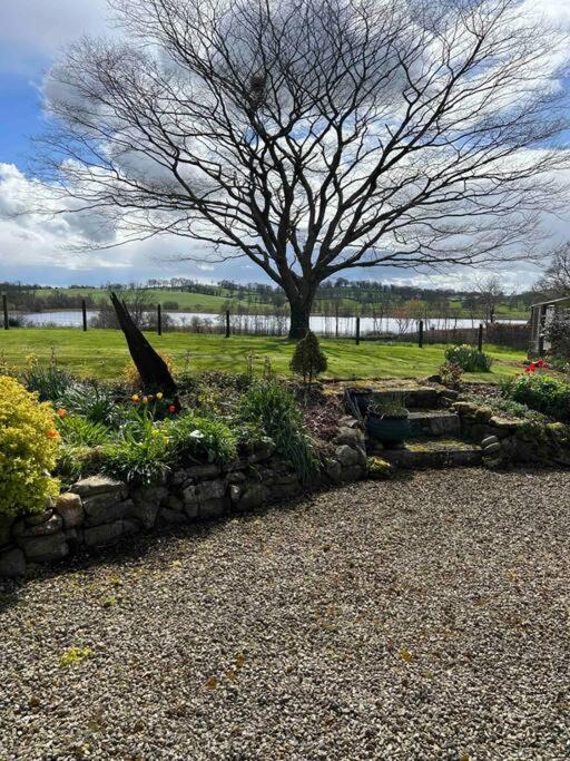 Wooden Cottage With Lake View Enniskillen Ngoại thất bức ảnh